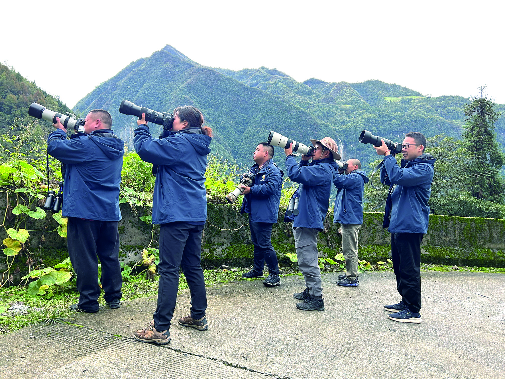 本地-三峡宜昌网(图1)