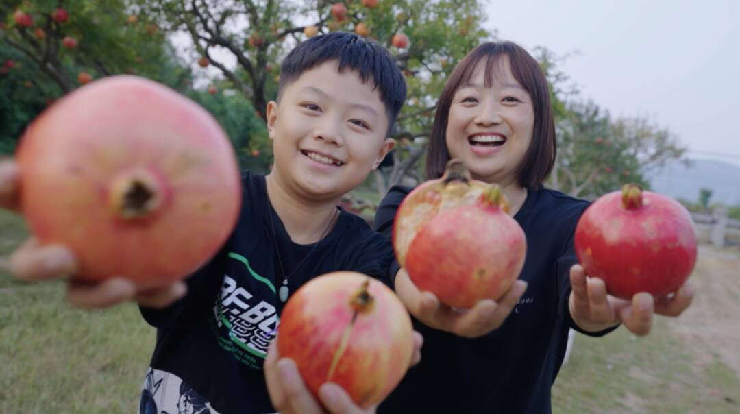 鲁质铸好品“宇”众不同的好品山东：峄城石榴如此多娇~走进大静和她的石榴盆栽事业(图2)