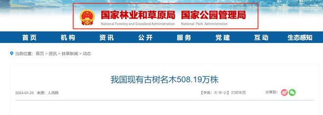 310岁古树！2015年江苏3男子连根挖起种到自家院子称：想吃石榴(图13)